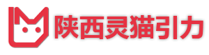 陕西灵猫引力网络科技有限公司